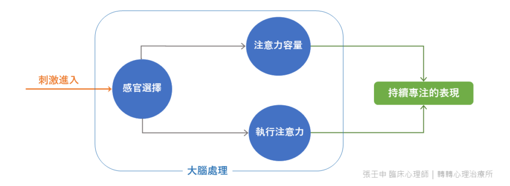 注意力歷程Cohen